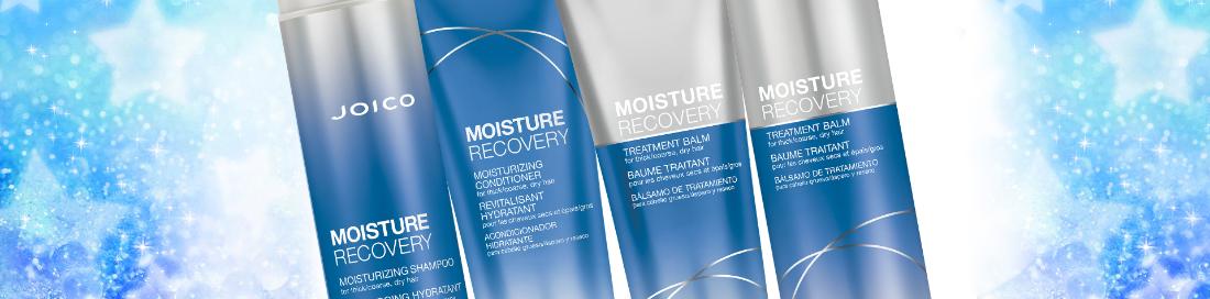 Joico Moisture Recovery