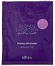 Обесцвечивающий порошок Extreme Lift Powder 60г, KAARAL Blond Elevation Yellow Out
