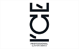 Логотип торговой марки NS ICE PROFESSIONAL Логотип торговой марки NS ICE PROFESSIONAL