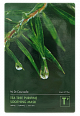 Успокаивающая тканевая маска для лица, DR. CEURACLE Tea Tree Purifine