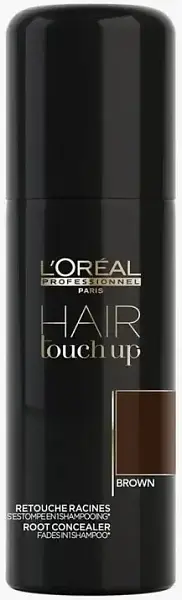 Loreal Professional Hair Touch Up Первый профессиональный консилер для волос