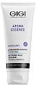 Мыло жидкое для всех типов кожи pH Balanced Cleanser, GIGI Aroma Essence